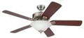 ceiling fans