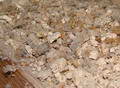 vermiculite-insulation